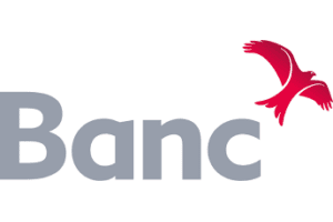 Logo - Development bank of Wales
